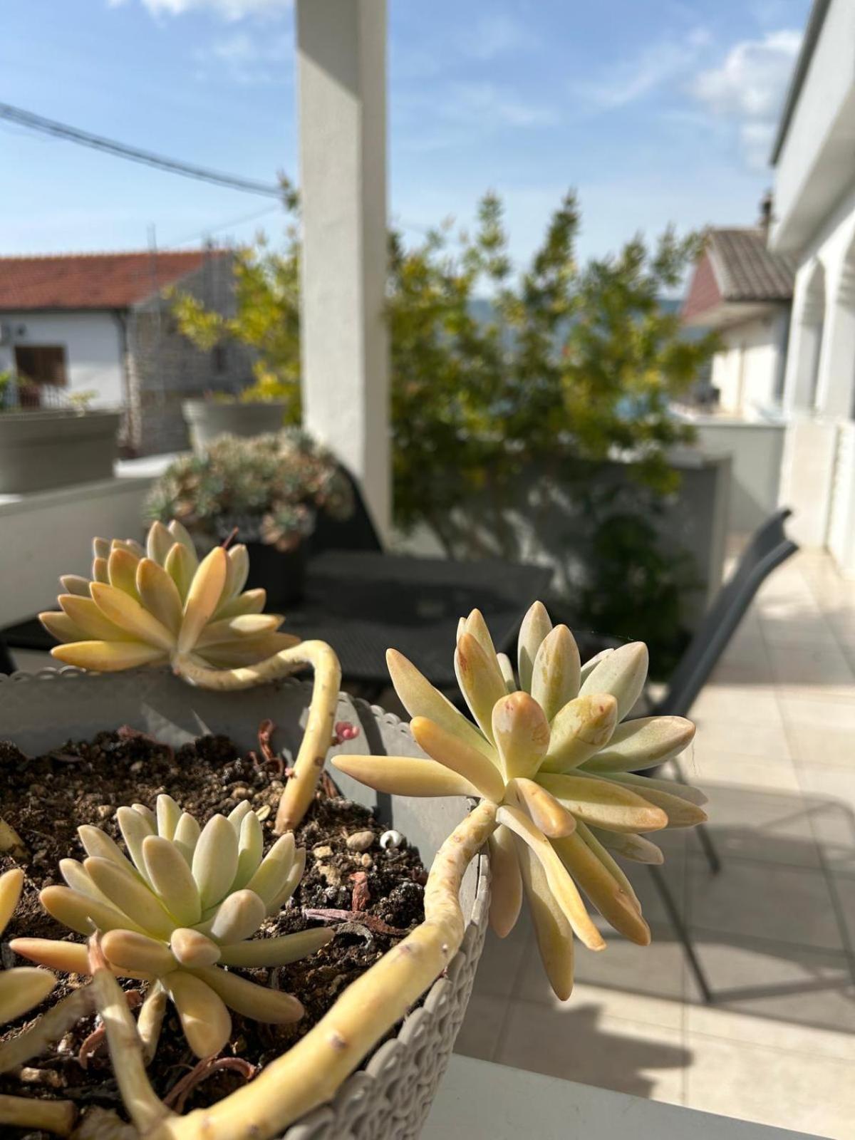 Apartmani Grgic Trogir Exterior photo